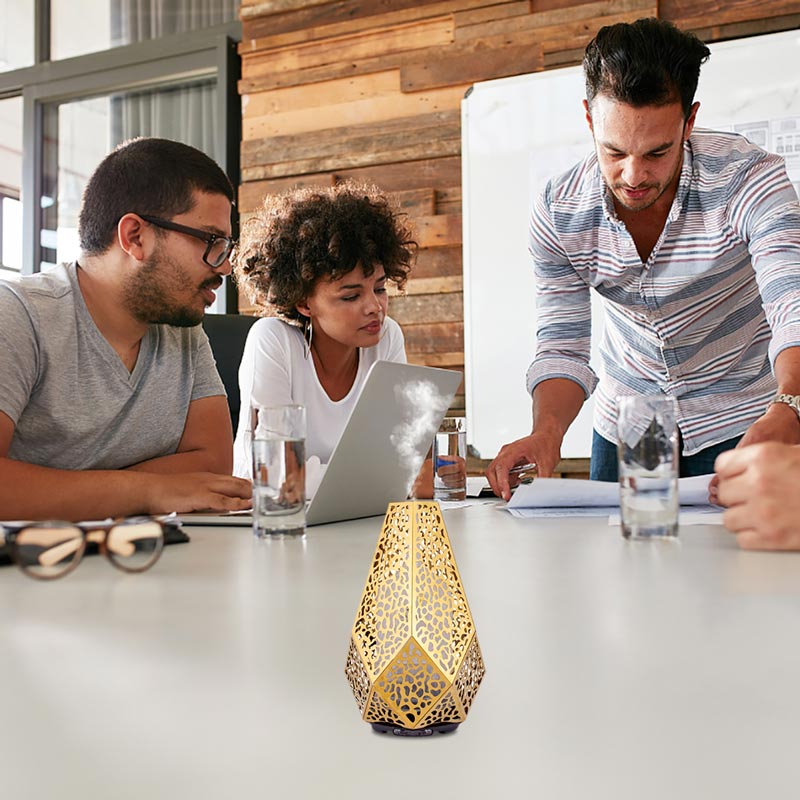Elegant Iron Essential Oil Diffuser