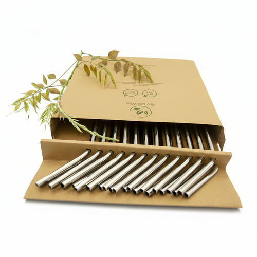 A set of stainless steel reusable drinking straws arranged in an open kraft paper box, with a small green leafy sprig placed on top. The box has printed eco-friendly icons and the text 'Buy Eco Wise'.
