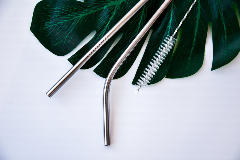 2 Pack Reusable Stainless Steel Drinking Straws