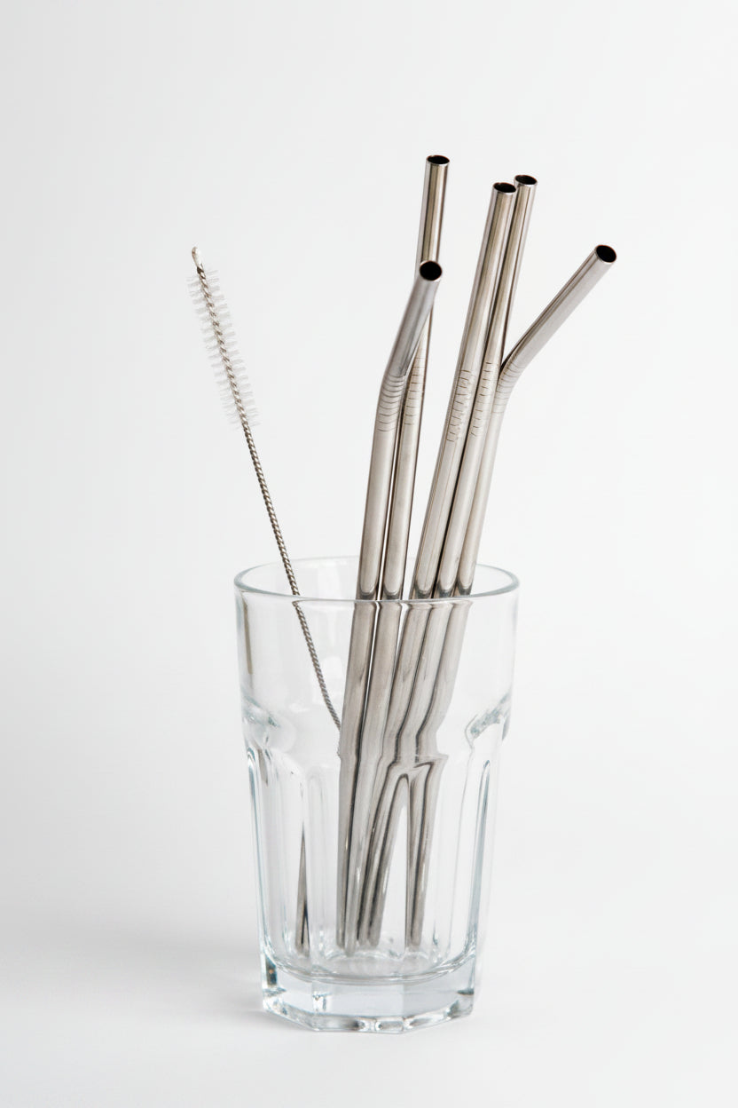 Single Reusable Stainless Steel Drinking Straw