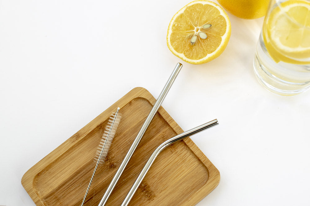 10 Pack Stainless Steel Straw Cleaning Brush