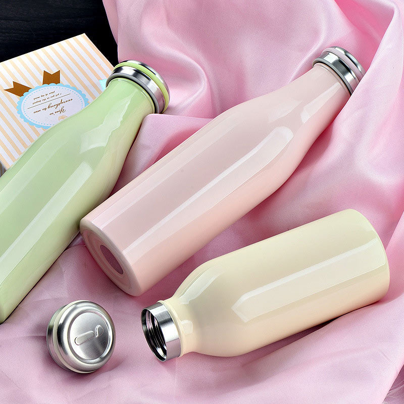 Portable Stainless Steel Water Bottle