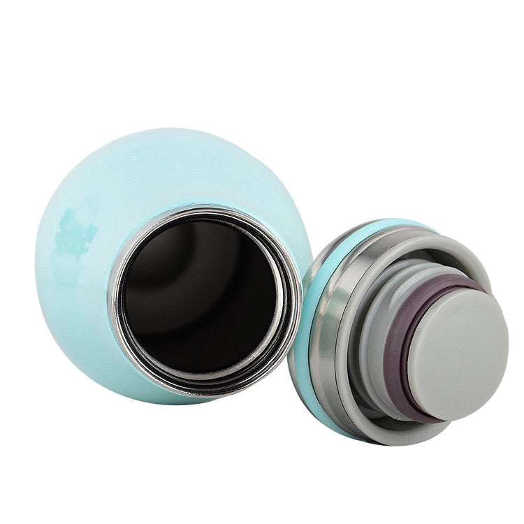 Portable Stainless Steel Water Bottle